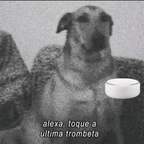 iti malias tweet media