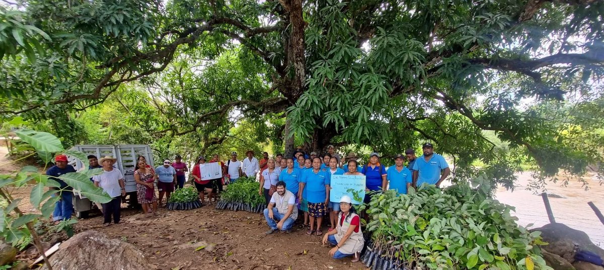 AlidaBelloS's tweet photo. #Reforestacion y Donacion de plantas2025 
#Sembrandovida https://t.co/ycrsS0E1Qy