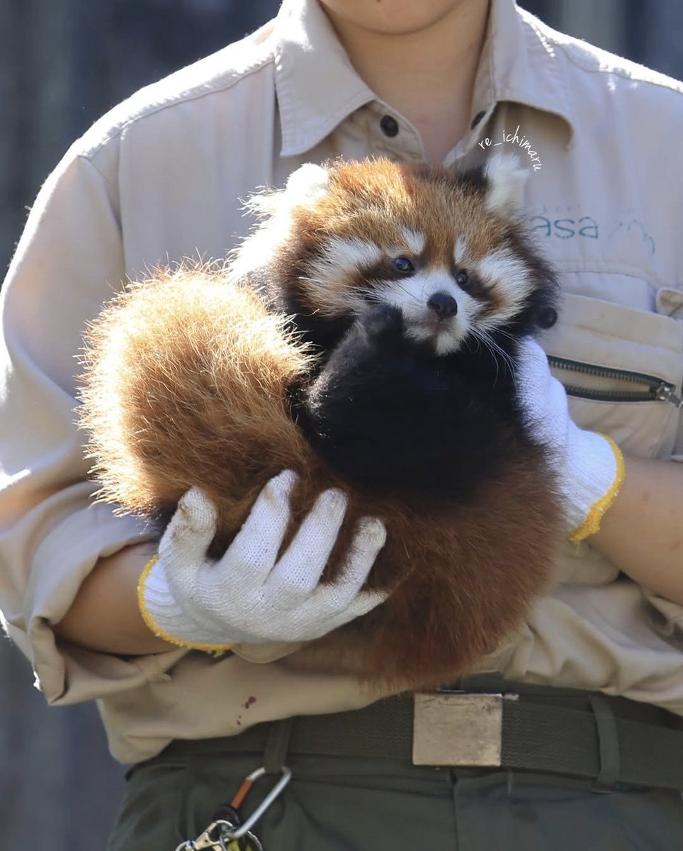 ThatOneColor's tweet image. It's dangerous to go alone