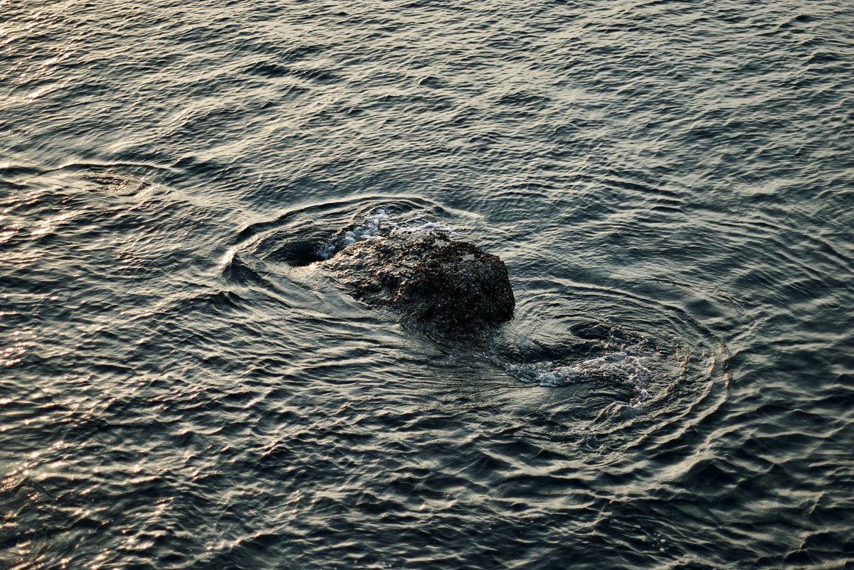 PENTAX K100D

#photography
#ファインダー越しの私の世界