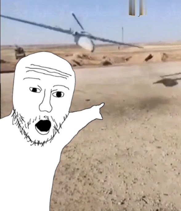 nineanon tweet media