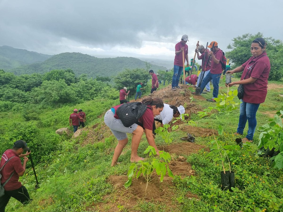 AlidaBelloS's tweet photo. #Sembrandovida💚
#Ruta28
#CuautepecGro https://t.co/rxdwH6rBaA