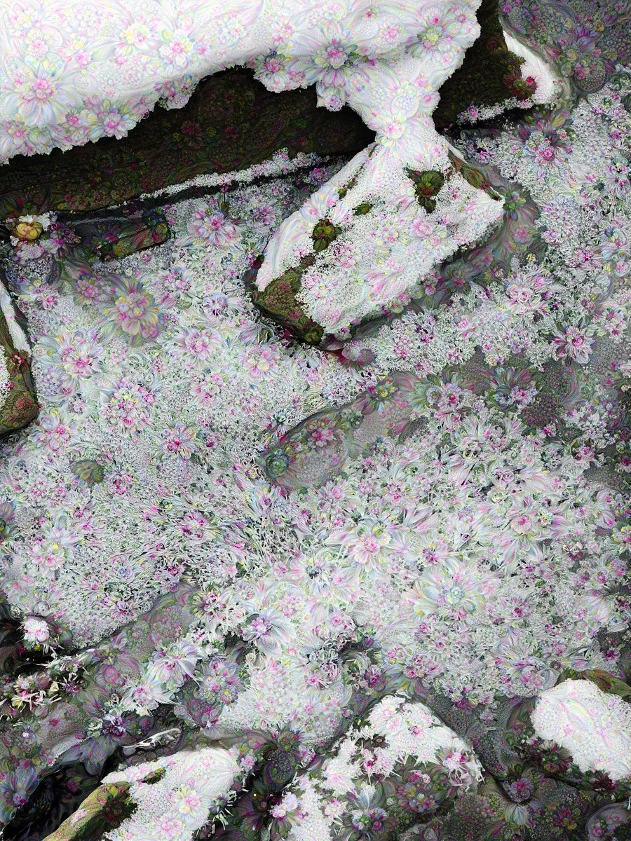 Crystallized ❄️