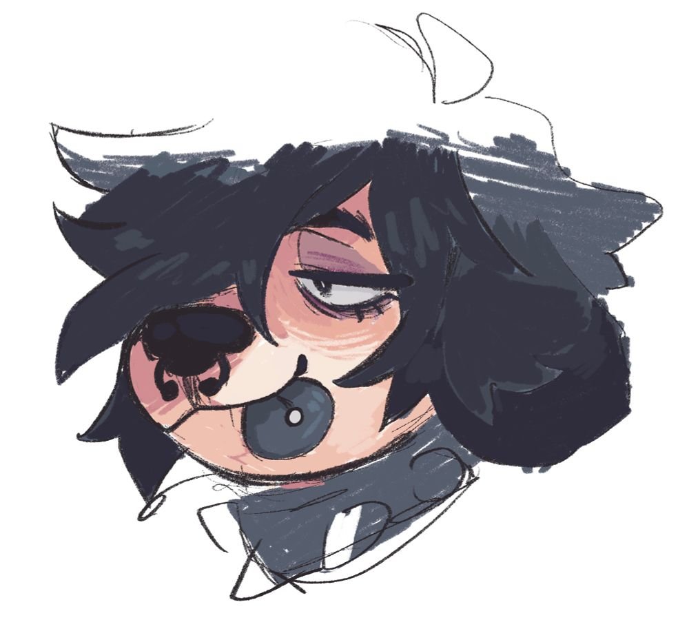 Mutt 🐶✨ tweet media