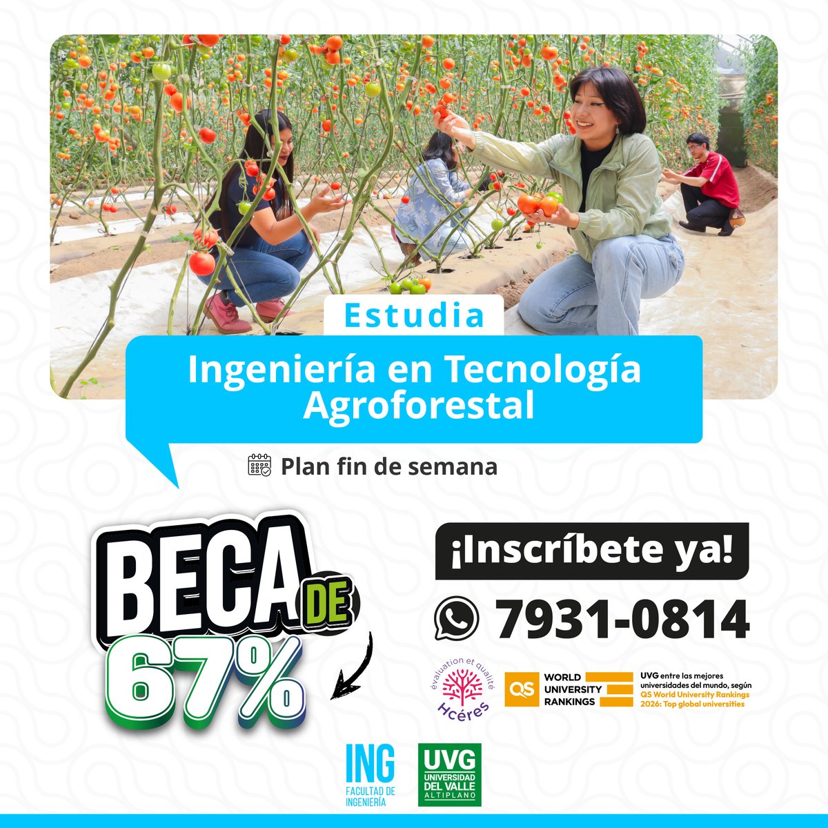 🌱 Ingeniería en Tecnología Agroforestal
Beca hasta 67%

⏳ 𝗨́𝗹𝘁𝗶𝗺𝗼𝘀 𝗰𝘂𝗽𝗼𝘀 𝗽𝗮𝗿𝗮 𝗮𝗽𝗹𝗶𝗰𝗮𝗿 𝗮 𝗹𝗮 𝗯𝗲𝗰𝗮 𝗨𝗩𝗚
 👉 Solicita información aquí:
 🔗 bit.ly/infoUVG 
 📲 WhatsApp 7931-0814 para atención personalizada.