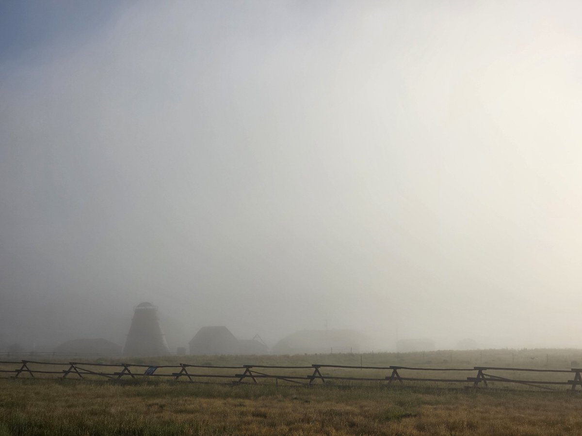ErnstSam's tweet photo. #Fog is always a welcome rarity in the arid west. https://t.co/B2QqpRDKm9