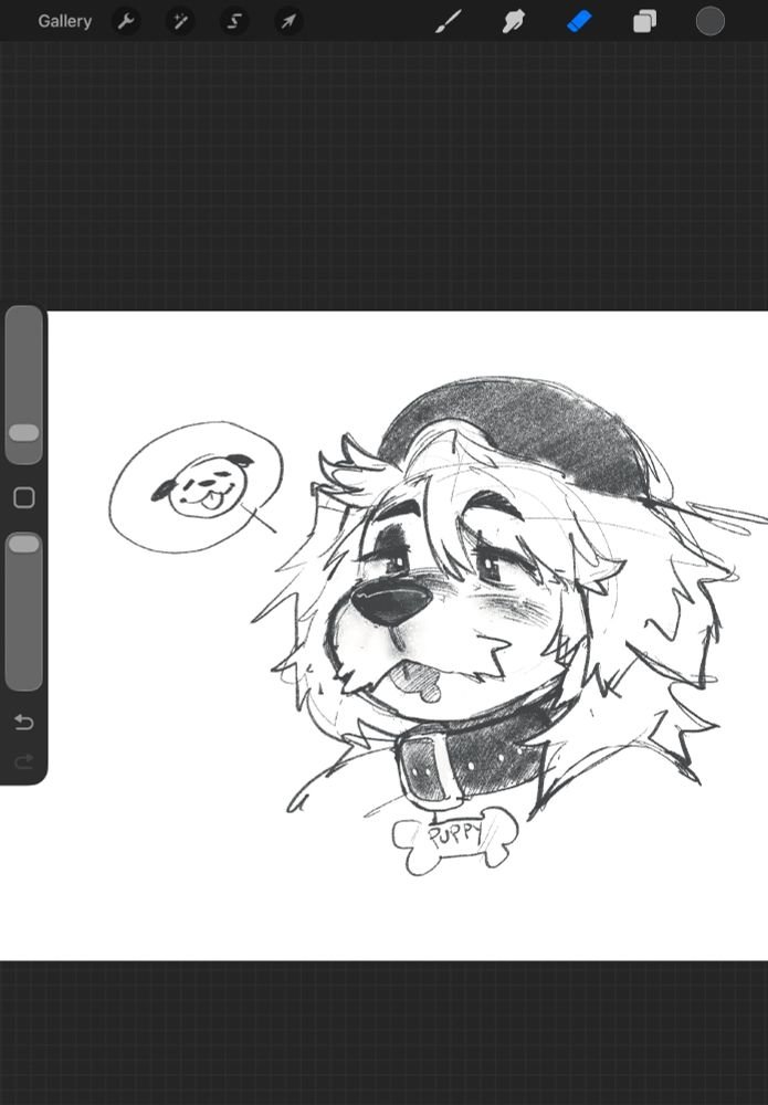 Mutt 🐶✨ tweet media