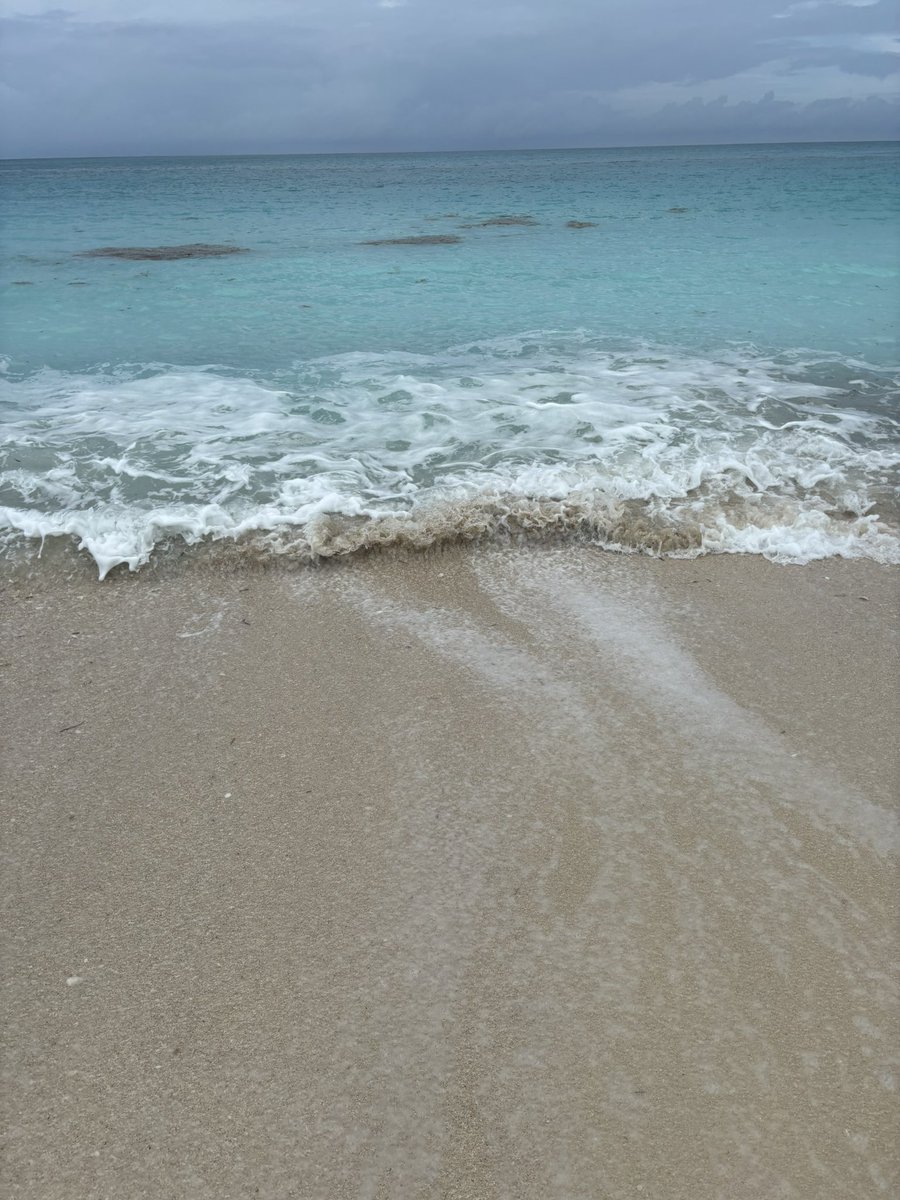 GilfJess's tweet image. Jess 🧜🏾‍♀️+ Bimini 🏝️ = ❤️