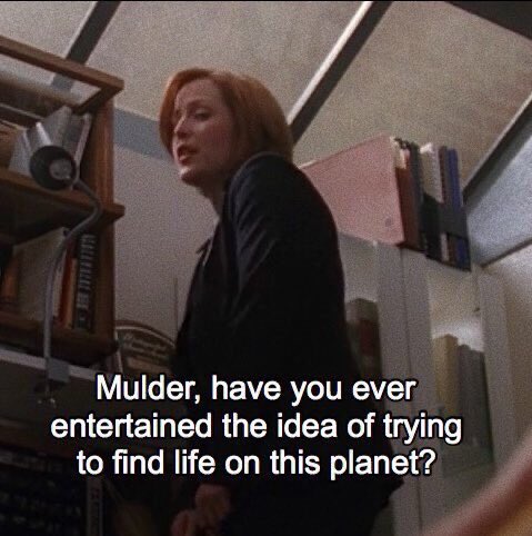 scullyxf's tweet image. 