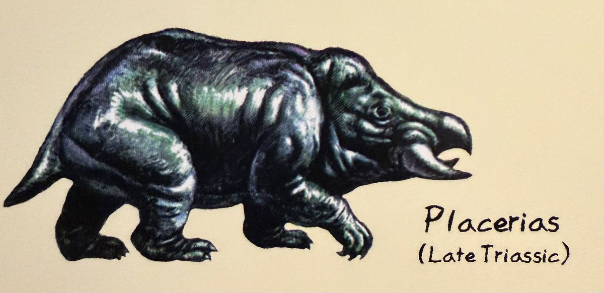 Adam Marsh tweet media