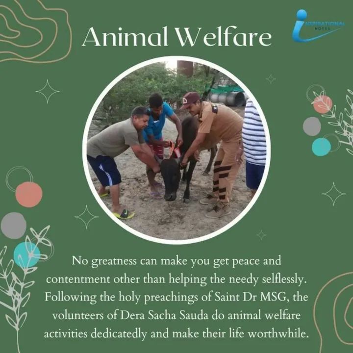 HAPPYINSAN1999's tweet photo. Dera volunteers have helped save many human and animal lives through the initiative to tie reflectors on animals. This has helped drastically reduce the night time accidents.
#AnimalWelfare 
Saint Gurmeet Ram Rahim Ji https://t.co/6iYBNc4AeO