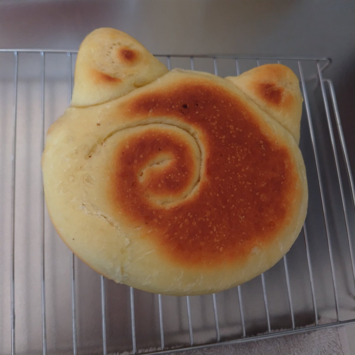 _inuninuni_'s tweet photo. ナルトのトビ猫食パンになってしまった https://t.co/Xc9Q7d3IF5