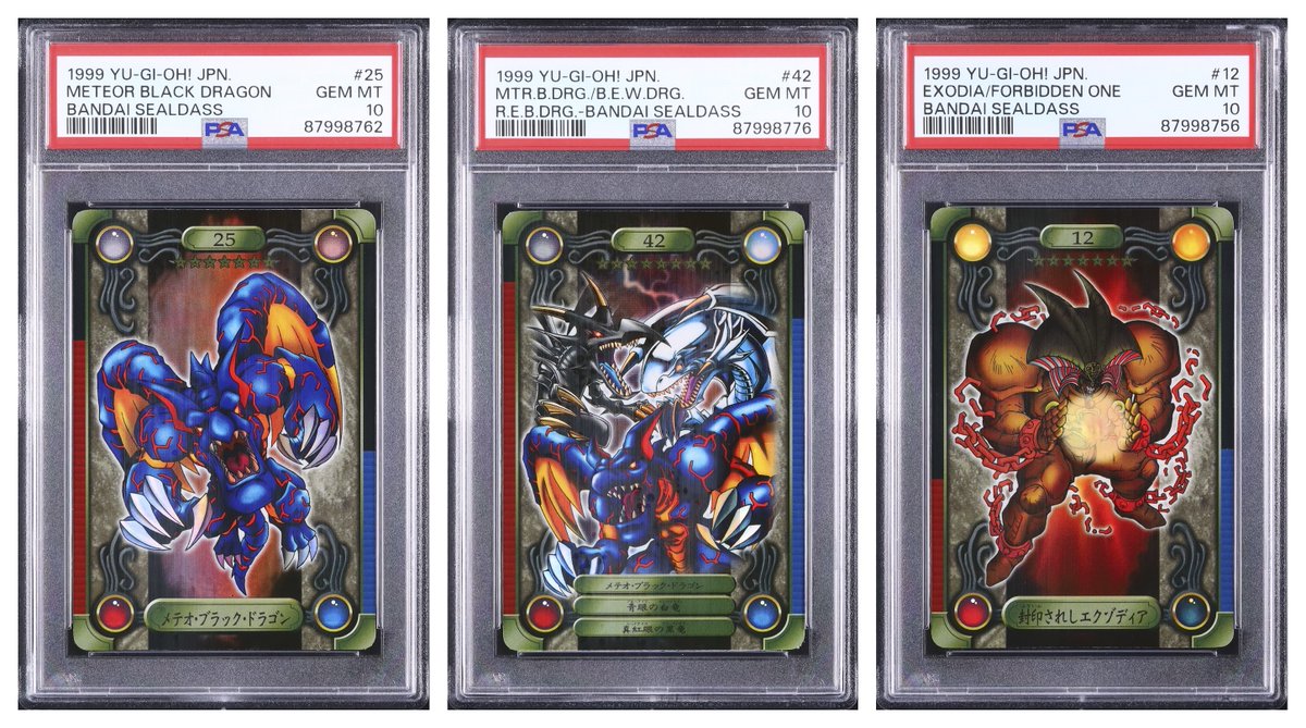 ◇ ─────────────── ◇ 📸 本日のピックアップ