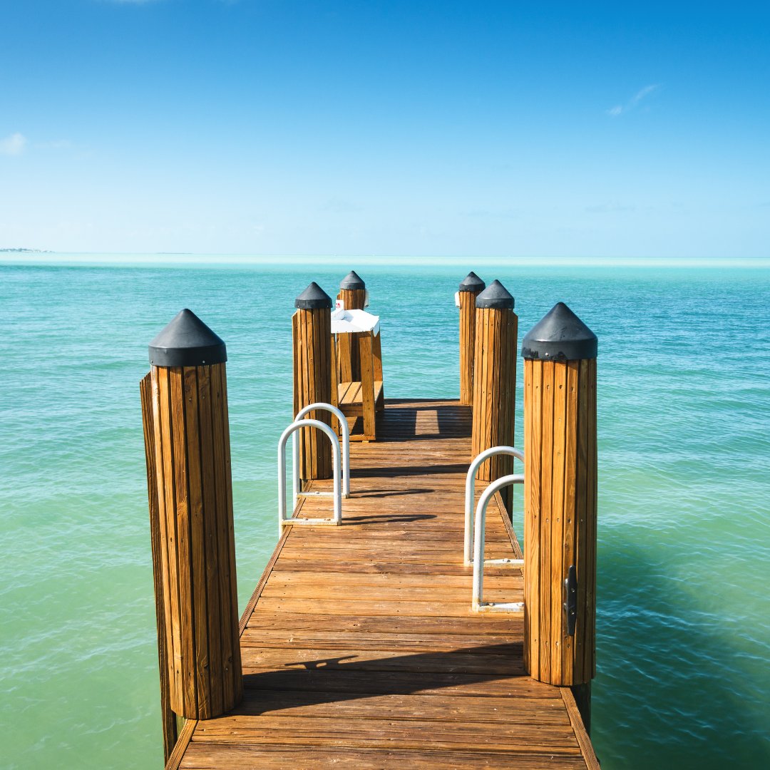 BlueMarlinMotel tweet media