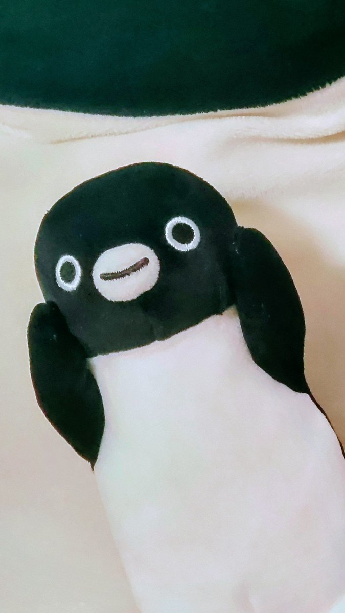 ほっぺマスコット届いた- ̗̀📦 ̖́-
かわいいねー(๑♡∀♡๑)

  #Suicaのペンギン
 #ほっぺマスコット