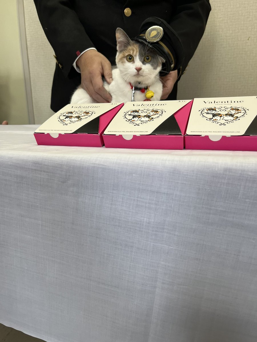 駅長たま (@ekichoTAMA) / Posts / X