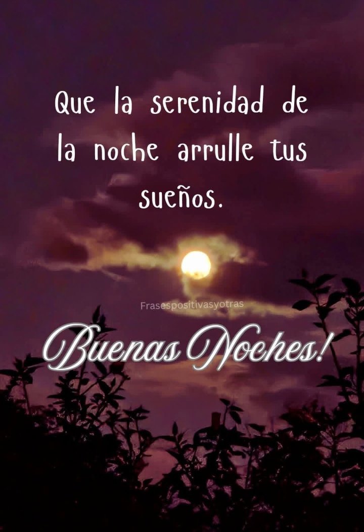 Bonita noche, felices sueños y un alegre y Bendito amanecer...❤️⭐🌟✨💫🌟