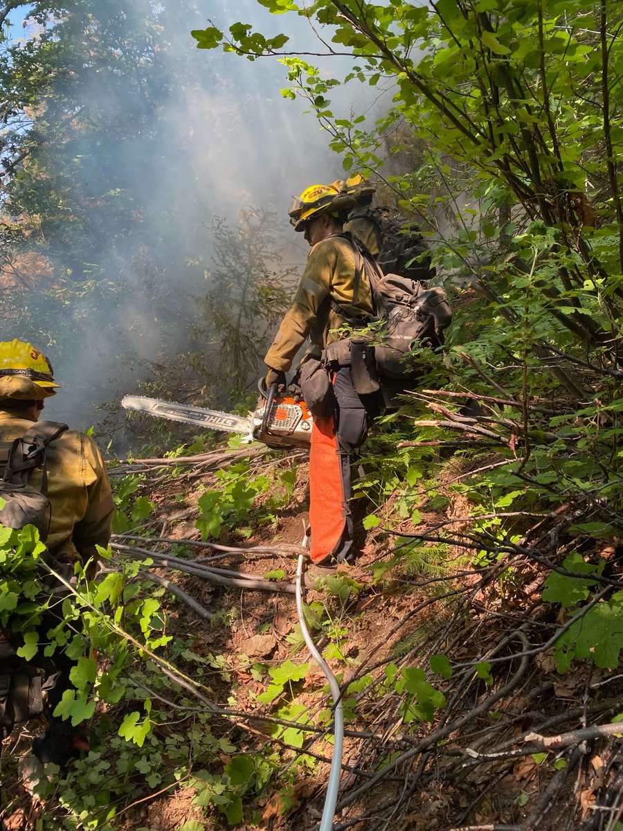 fema's tweet image. .@POTUS authorized us to send @USDA @ForestService teams to Tennessee and Mississippi at the request of Gov. @tatereeves and @GovBillLee to fast-track road clearing. ⏩