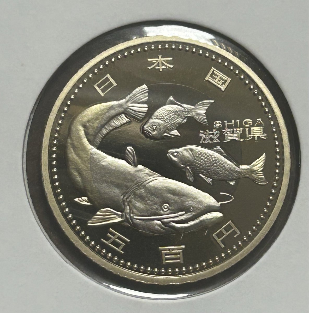 金、銀地金が高くなりつづけると今後の貨幣収集人口の裾野を広げる入り口はまず銅貨や白銅貨になると思われ。  私の推しはプルーフ500円白銅貨です。下手な千円銀貨より彫りがしっかりしていて綺麗だし集めやすいので収集初心者にももってこい。