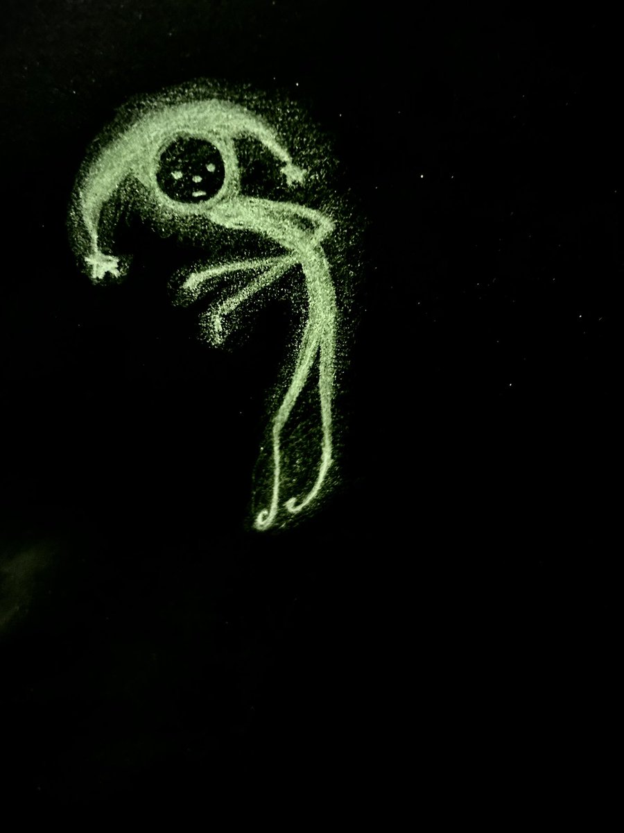 megan wood tweet media