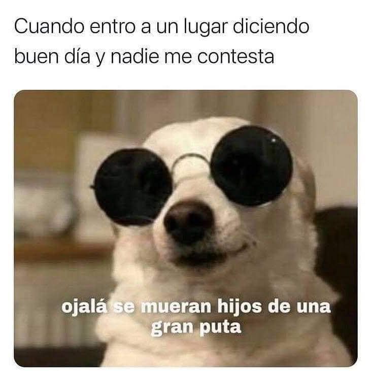 Jajaajajaajaj soy 😂