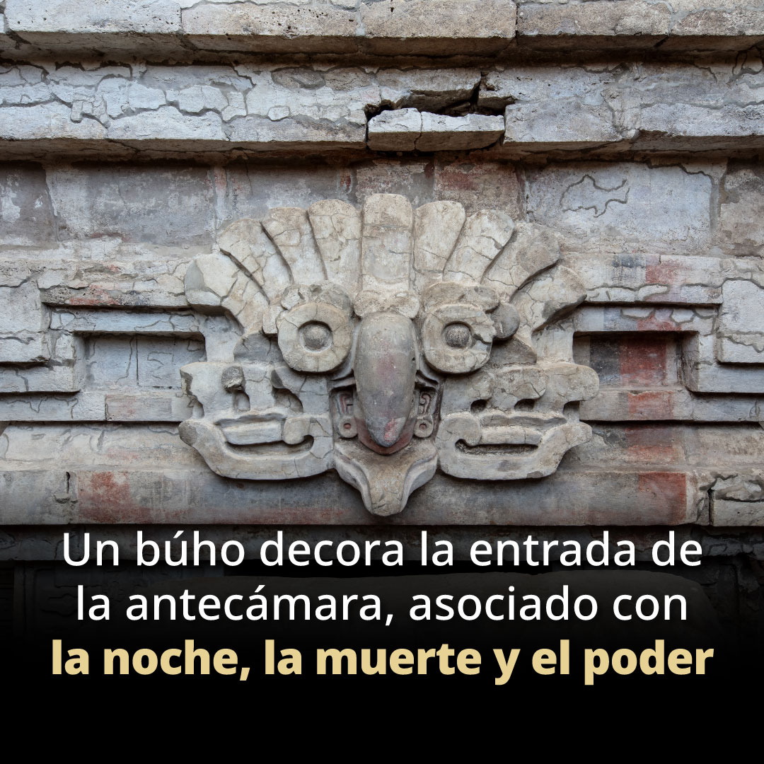 La Tumba 10 de Huitzo, ubicada en los valles centrales de Oaxaca, es un hallazgo arqueológico que revela la rica cosmovisión zapoteca. La tumba cuenta con símbolos que indican su conexión con la muerte, el poder y la espiritualidad.

Entre sus hallazgos, se encuentra un búho, ave