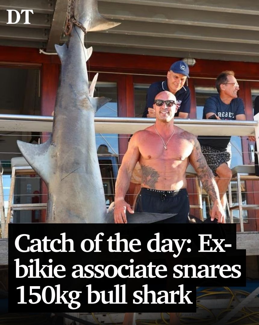 The Daily Telegraph tweet media