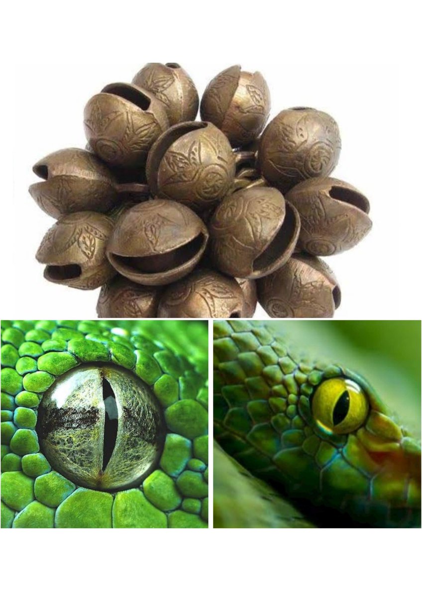 DivyaIFS's tweet photo. Saint Andal compares anklet bell to God's eyes in this ancient poem. 

However to a forester, it will remind of reptile eyes and half open anklet bell! 
@OldTamilPoetry
 @IfsMadhu https://t.co/Oe6fBOYuzr