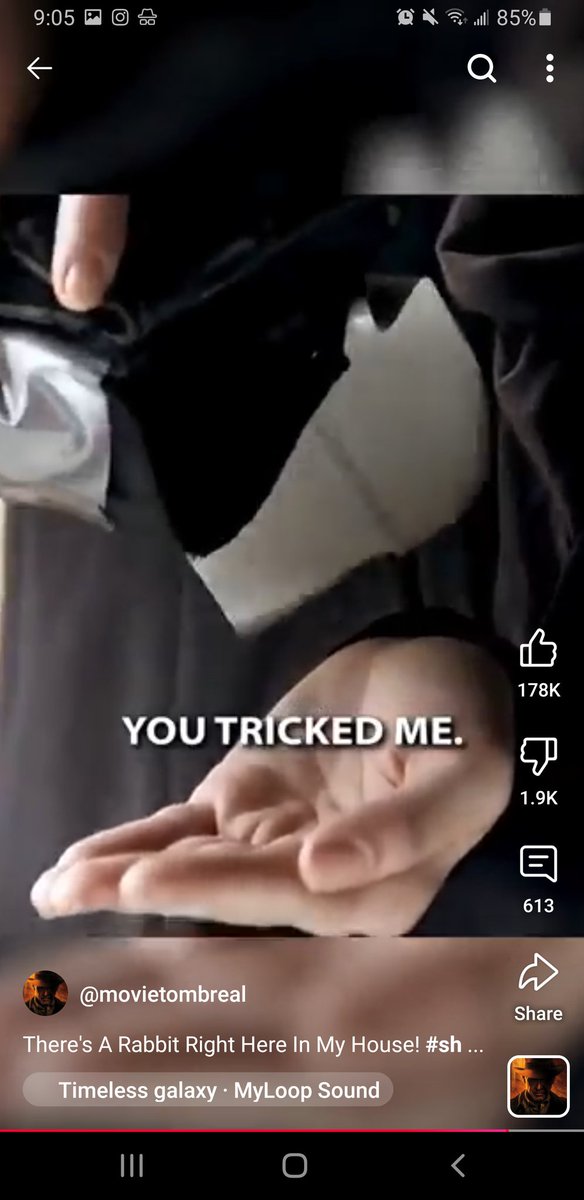 ragemuffin tweet media