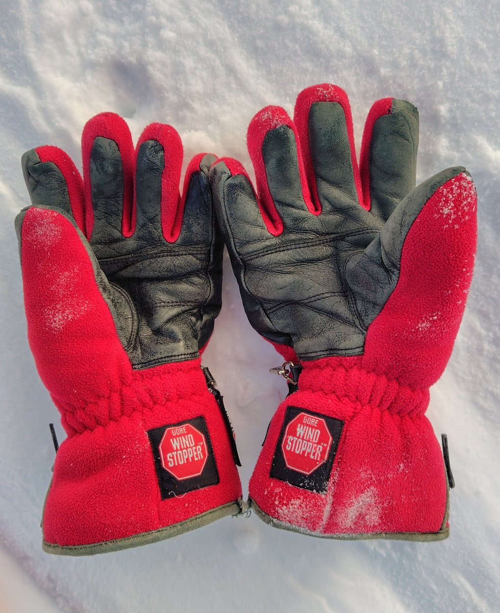 rikarikamemo's tweet image. このロイシュ(reush)のスキーグローブ、購入したのが1995年前後と記憶しています。間違っていたらすみません。
2026年も何の問題もなく継続使用しています。
ゲレンデで1990年代のスキーウェアを゙お見かけしますが、長年愛用されてるアイテムありますか。

#ロイシュ
#reusch