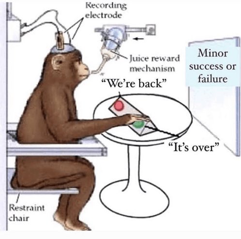 Got a call from my retail friend. 

This guy only invests in stocks.

“Hey dude, what’s going on with these memecoins”

What does this mean?