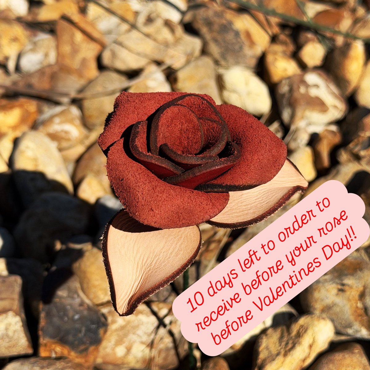 Only 10 days left to order your handcrafted leather rose and receive it before Valentines Day. #gift #valentinesday #flower #etsy #order

link below: etsy.com/listing/440849…