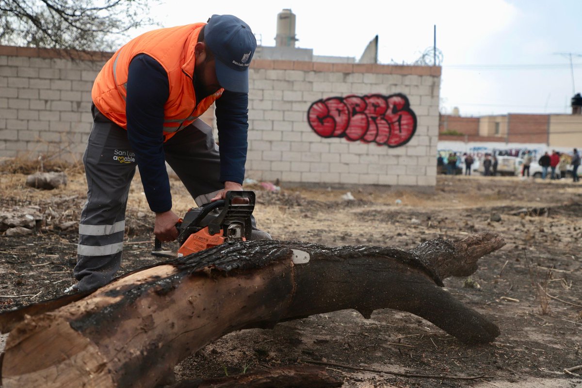 Enrique Galindo C tweet media