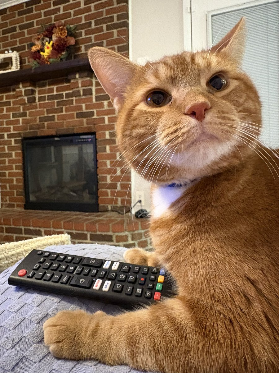 Amber Shirley, DO tweet media