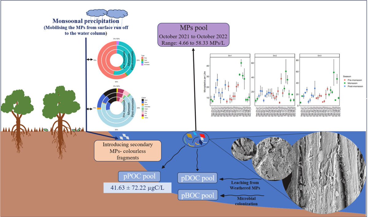 BhadPunyasloke's tweet photo. Check this paper led by @NirupamaSaini with @Anweghosh where we show contribution of microplastics to particulate organic carbon pool in mangroves of Sundarbans; paper is online in Journal of Hazardous Materials Advances @ITMERG1 @ElsevierConnect 

https://t.co/T6Rx8pIAJf https://t.co/KJ2yISUeiI