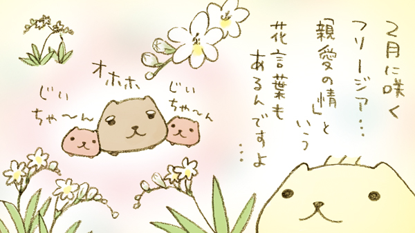 2月に咲くフリージア… 