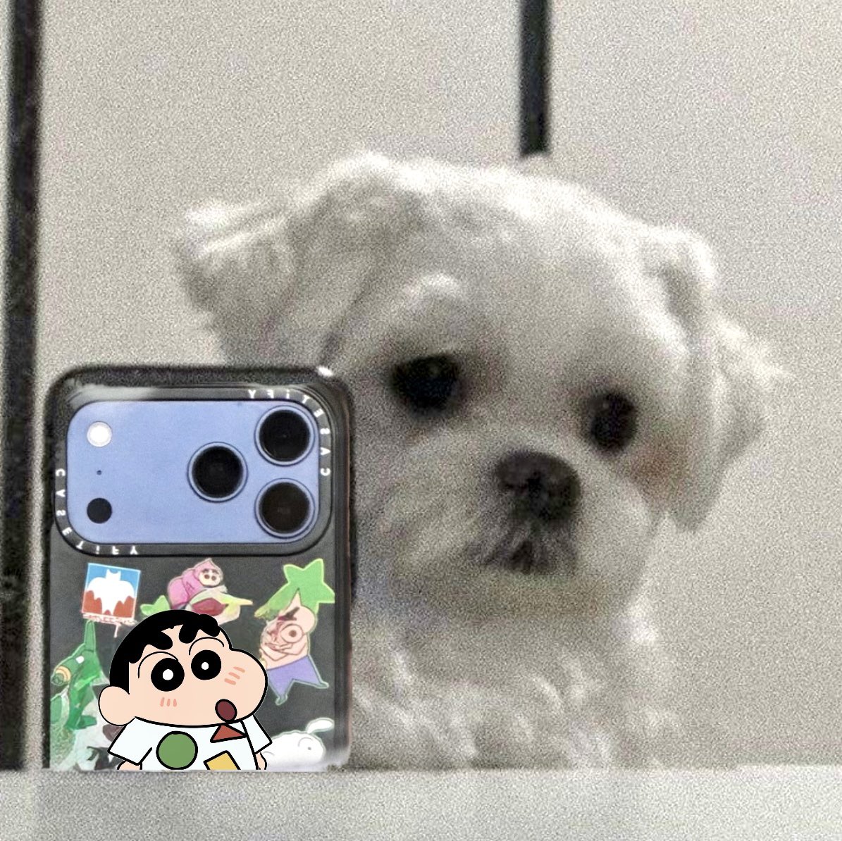 6h_ (@httpxlhc) on Twitter photo 