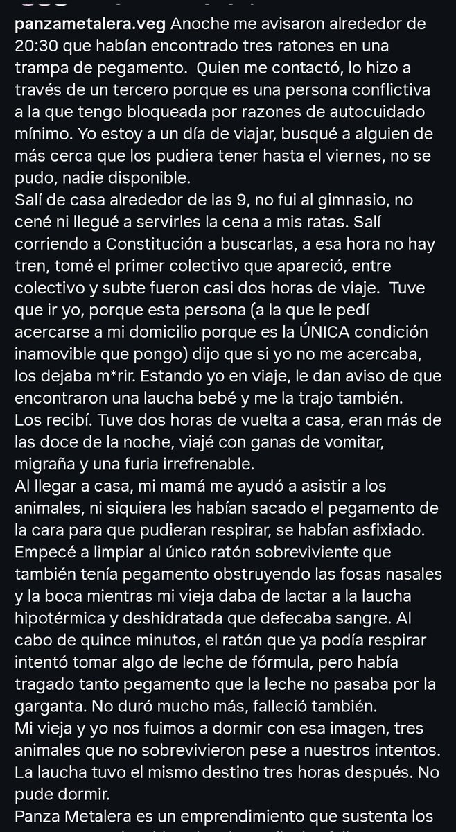 Si usas las trampas de pegamento hay que dormirte. Que sean legales y se vendan en cualquier lado habla de la mierda que es la humanidad. Nadie te obliga a que te gusten las ratas, pero ese nivel de tortura sólo lo puede cometer un sociópata