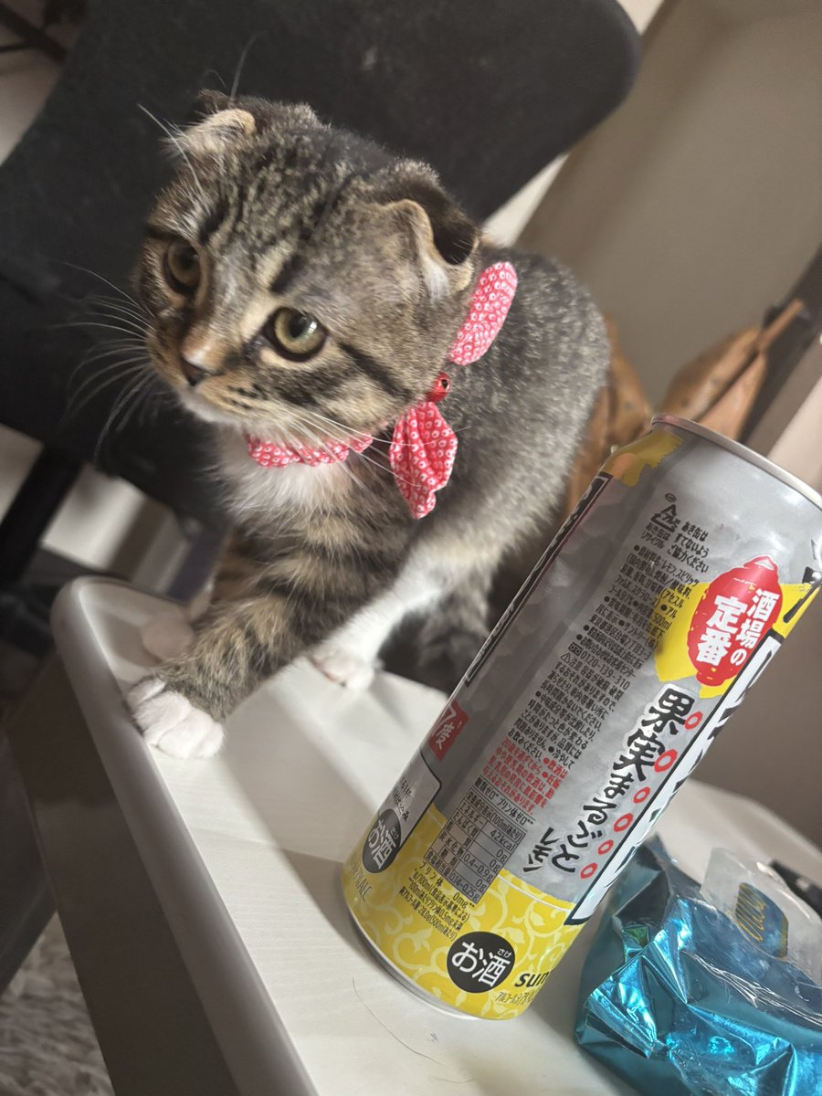 おしっこ、うんち、オールクリア❣️

小さすぎて500mlと同じくらいのサイズ