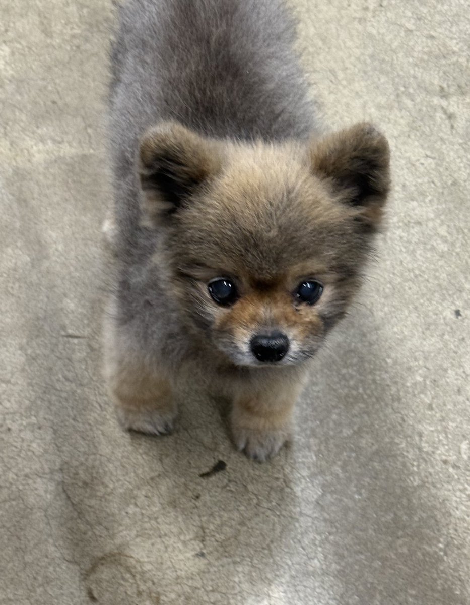 요즘 매일 출근중이심