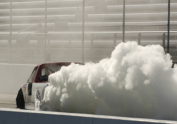 Forrest Robbins tweet media