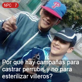 Voxed Posting (@voxedposting) on Twitter photo 