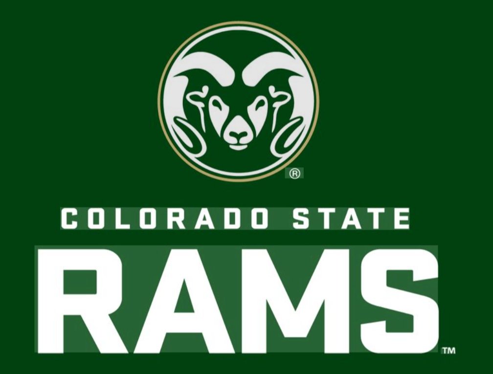 Malcolm_Allen64 tweet media