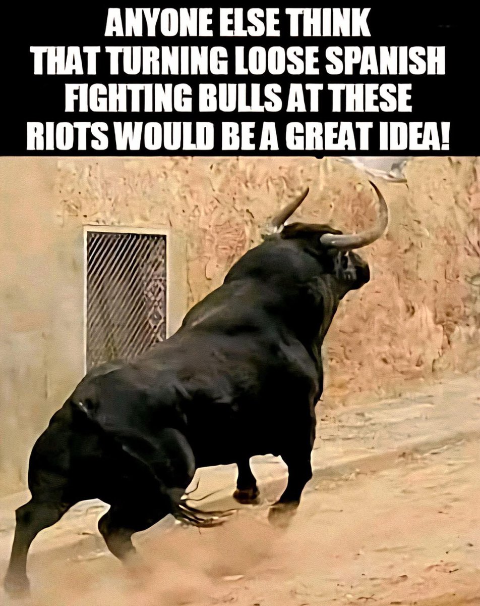 DisrespectedThe's tweet image. I have a plan. 😂😂😂