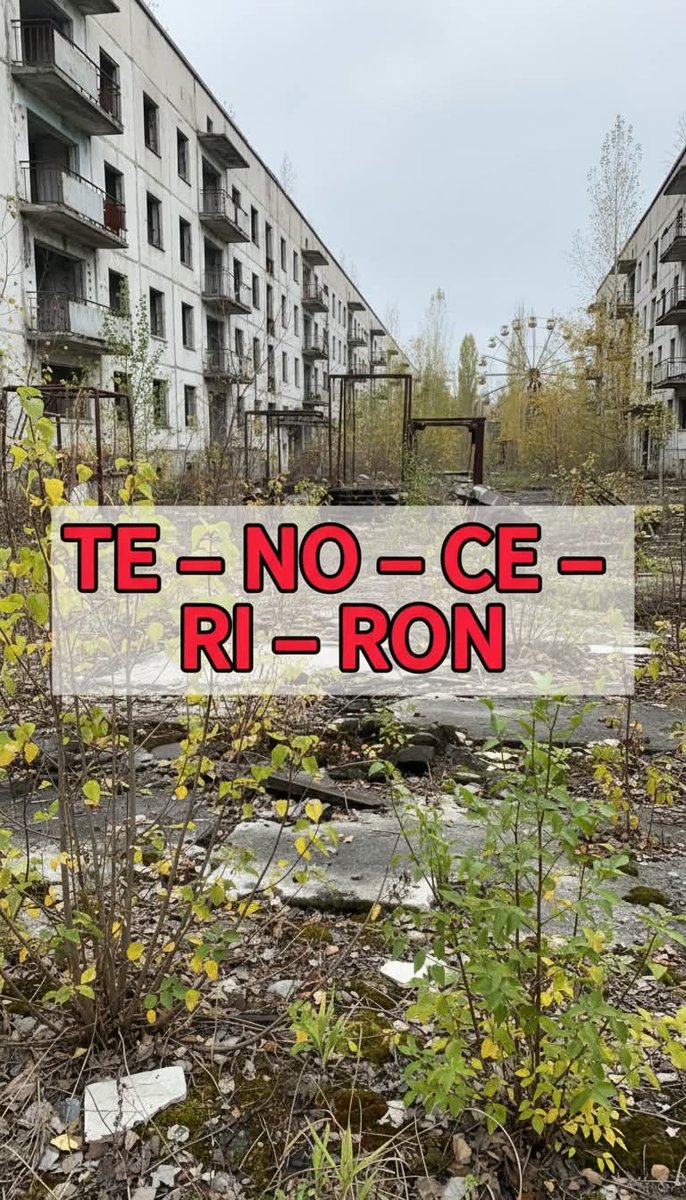 Suricato 💎 tweet media