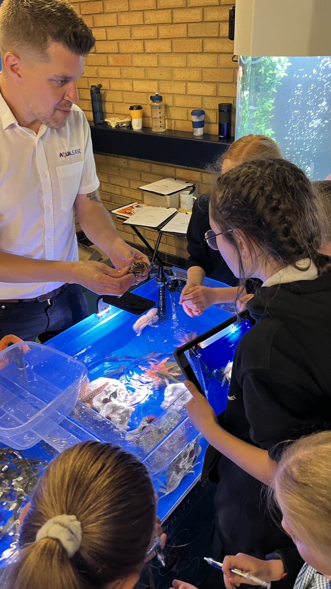 Sustainability Learning CIC tweet media