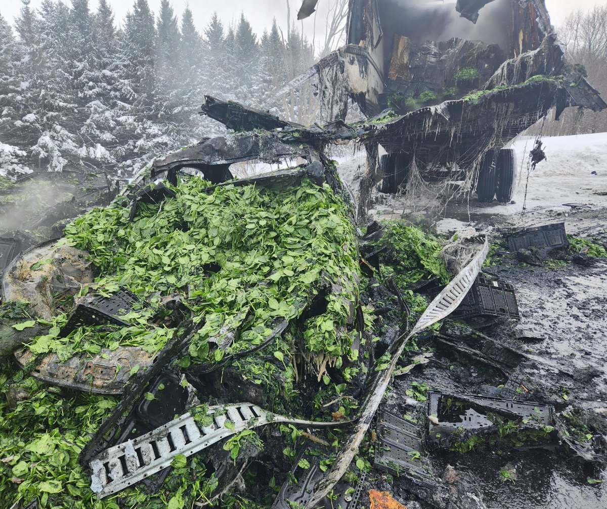 Quinteist tweet media