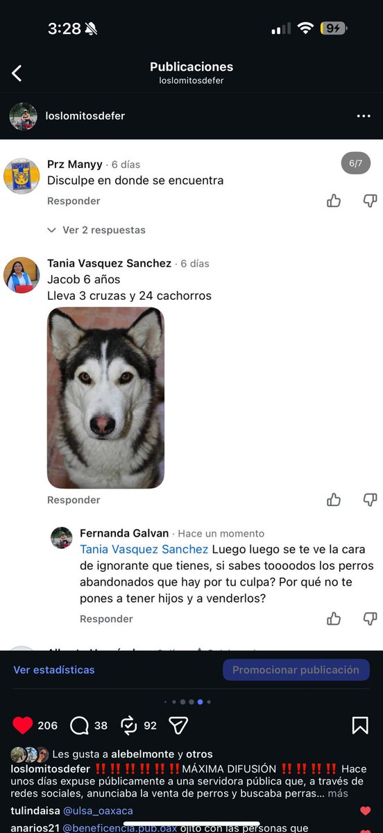 DimePetri's tweet photo. Denunciar la venta de perros no debería poner vidas en riesgo.
Fer, rescatista y promotora de la adopción, hoy recibe amenazas tras señalar a una funcionaria.
Exigimos protección e investigación inmediata.
El activismo animal no se calla. 🐾⚠️ @FISCALIA_GobOax @FiscalOaxaca https://t.co/As2YHqSOko