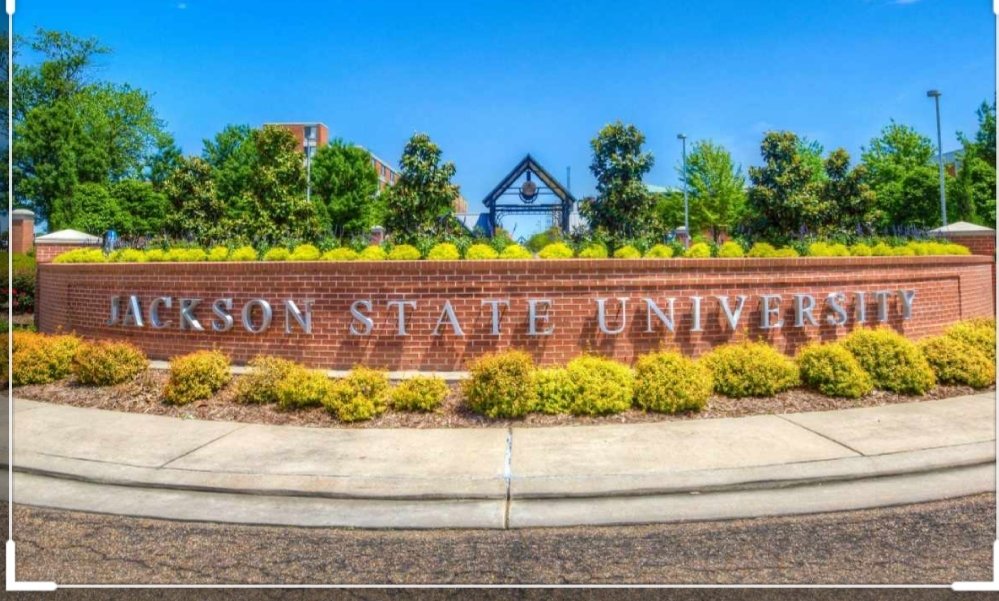 LadyNay1920's tweet photo. Fact Check: He's 10000% Accurate. When We Say #TheeILove it's not just words..it's really in our DNA. There is no place like #TigerWorld #BelieveThat https://t.co/lcNfYTQibn