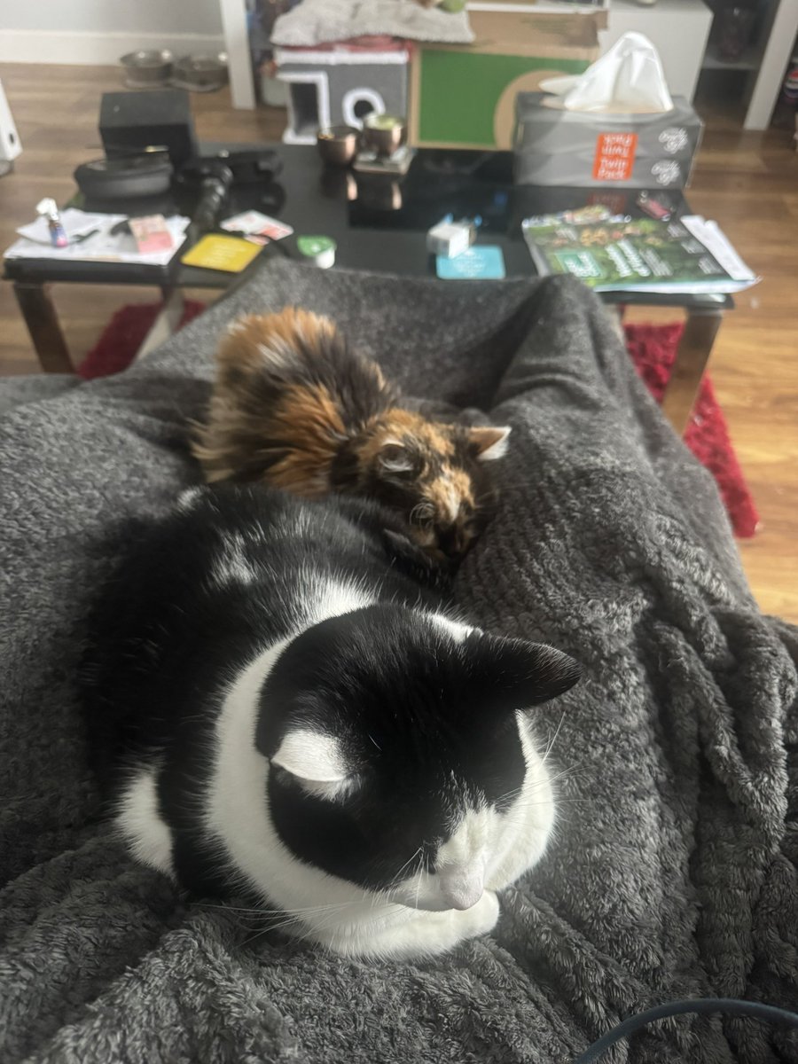 Cat Butler Danny tweet media